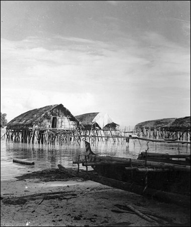 "Lake Sentani"